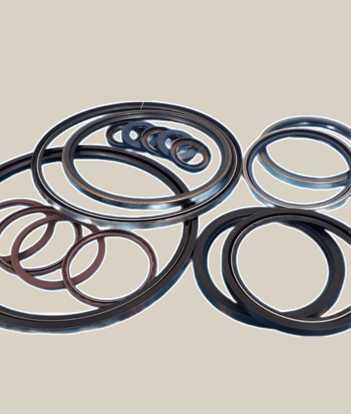 Shaft Seal / Oil Seal